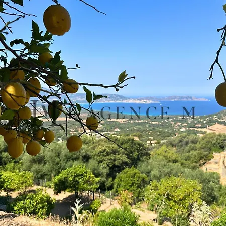 Vakantiehuis Maison Hauteur De Lumio (Corsica)